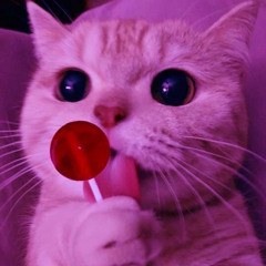 Niky