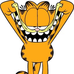 🙀
