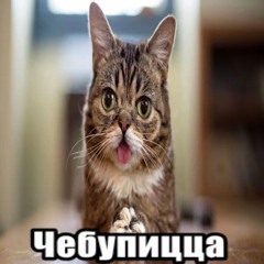 Чудо аллаха