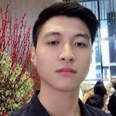 Long Minhhieu