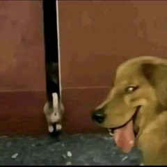 ᵐᵃʳˢ
