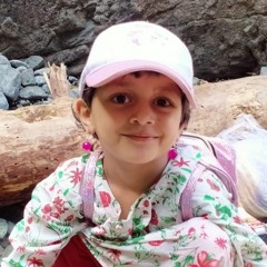 Gulzar sher muhammad zai