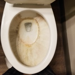 Chastity Toilet