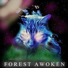 Forest Awoken