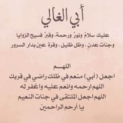 Bahaa Elden Mohammed