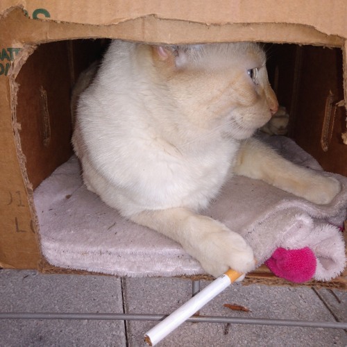 Embedded system(AR [V-#2])