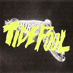 Tidepool