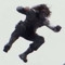 bucky☆彡