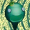 KING WORM