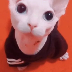 すばらしうた🌼