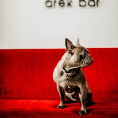 arek bar