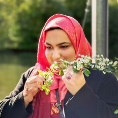 Sehrish Khan Bazai