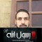 هشام السيد