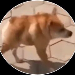 𝙿 𝙻 𝚄 𝙼 𝙿