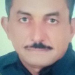 Shimaa Qasmy