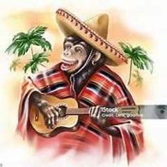 The HISPANIC-ENGLISH SPEAKING Monkey