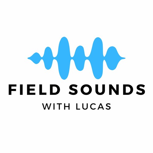 Field Sounds With Lucas’s avatar