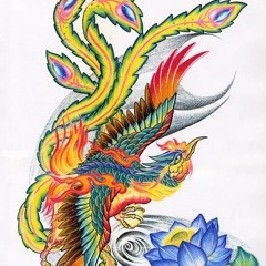 文化 류