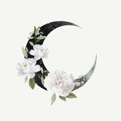 moon rose🌹🌙
