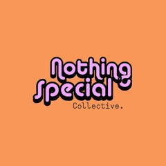 Nothing Special Collective