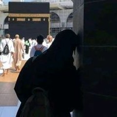 Eman Elfeshawy