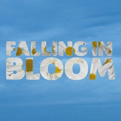 Falling In Bloom