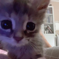 あおい