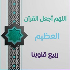 دروس الشيخ محمد خيرى    مسجد ابو احمد