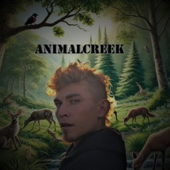 Animalcreek