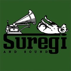 suregi and sound 3