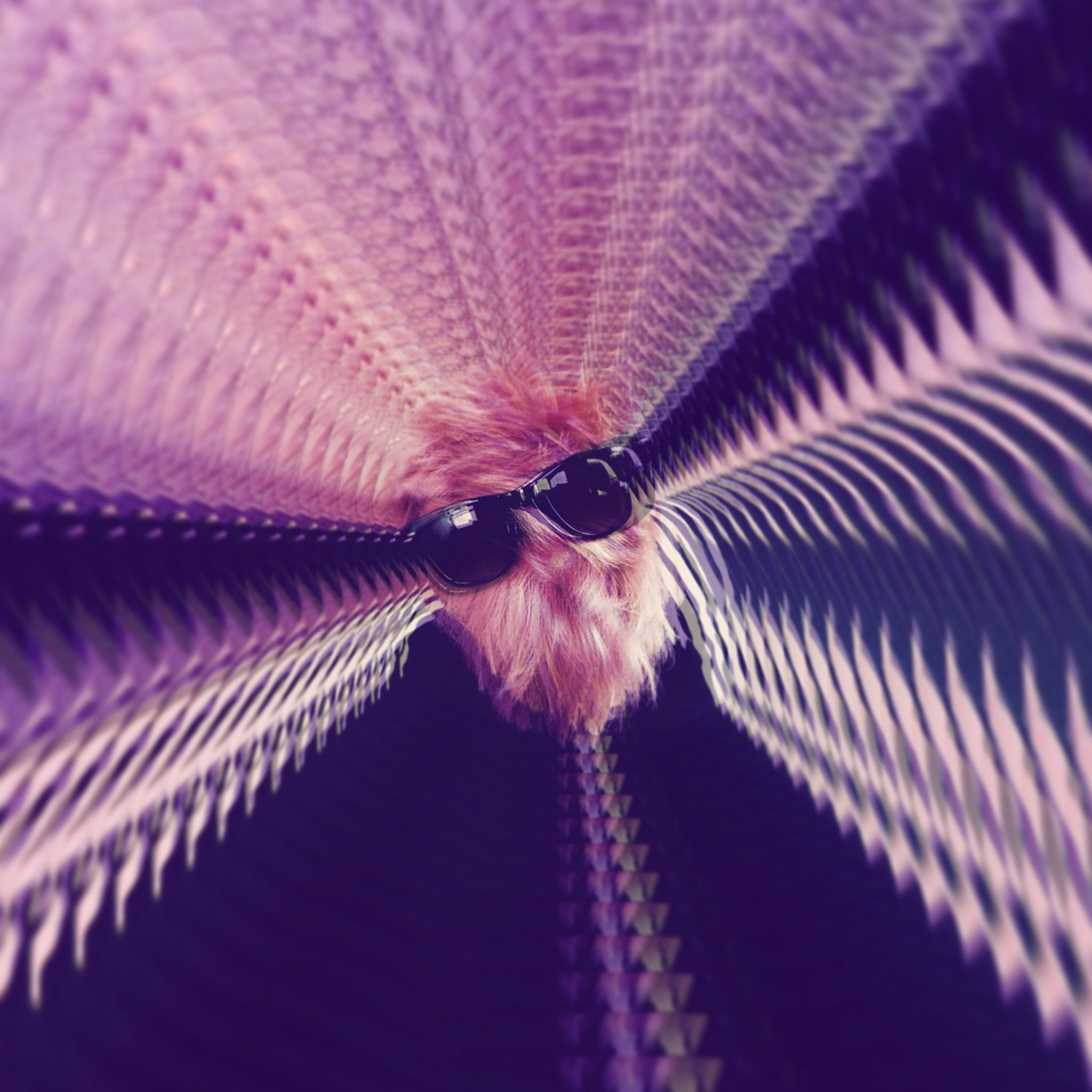 Urple