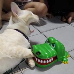 끄아앙