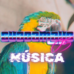 Guacamayo05