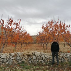 Maroun Sawaya