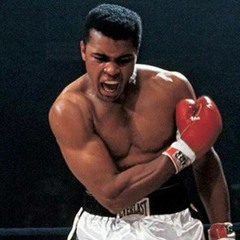 EʟᴠɪsTᴇᴊᴀᴅᴀ