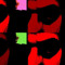 Muse_Macabre (Electronica)