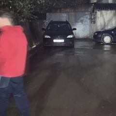 iorgo_fbg