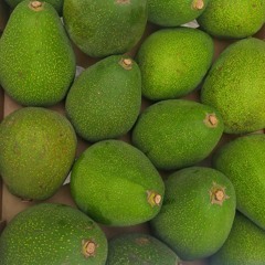 alper gitarkayitlarim