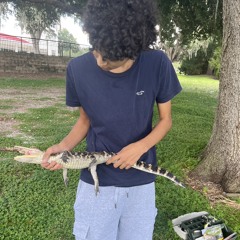 jonathanjaimes411@gmail.com