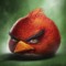 redangrybird