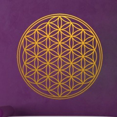 Licht (Lichterleben)