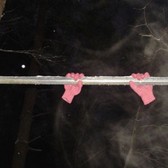 ————————Debosh