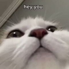 Jiko