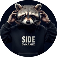 Side Dynamix