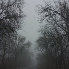 Анастасия Антипина