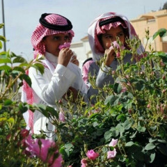 تَرانيم مُبهمة ..