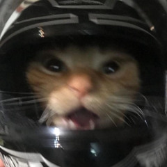 vvvpr