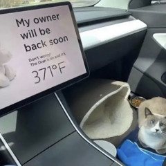 walmart please sell me a firearm, no im not crazy