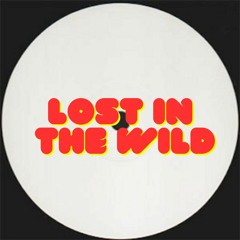 LOST IN THE WILD - MIND WEAVER(War Dub) send for King Joe and Bezlebub