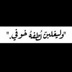 Boba Essam Elmasry